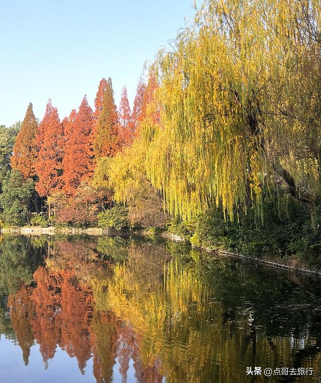 成都被私藏的彩林公园，流金溢彩，充满老城烟火气，地铁公交直达