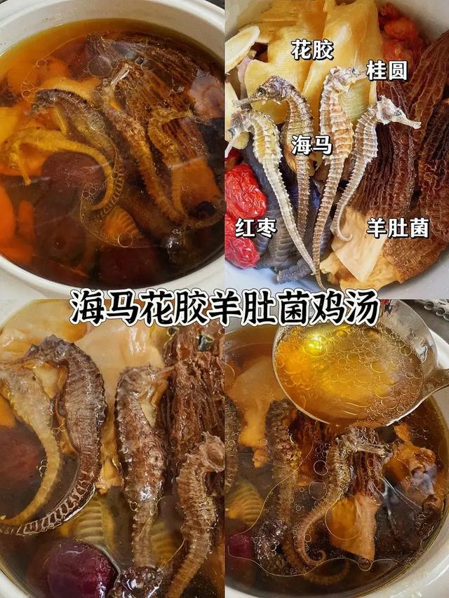 海马花胶鸡汤的做法 2026年海马花胶鸡汤的做法窍门 海马花胶鸡汤的做法 2026年海马花胶鸡汤的做法窍门