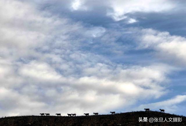 临汾摄协去新疆石河子文化交流 拍不够的新疆美景 人热情 情难忘