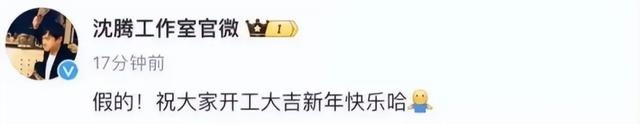 沈腾林允绯闻再添实锤？两人前后脚“巧合”现身北京某小众公园