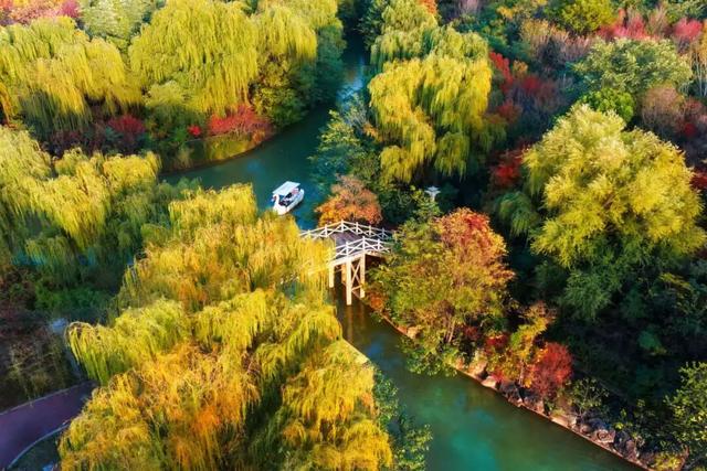 此刻，随手拍洛阳，美景如画！