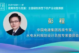 中国电建集团首席专家彭程：能源电力领域有必要率先减碳图片