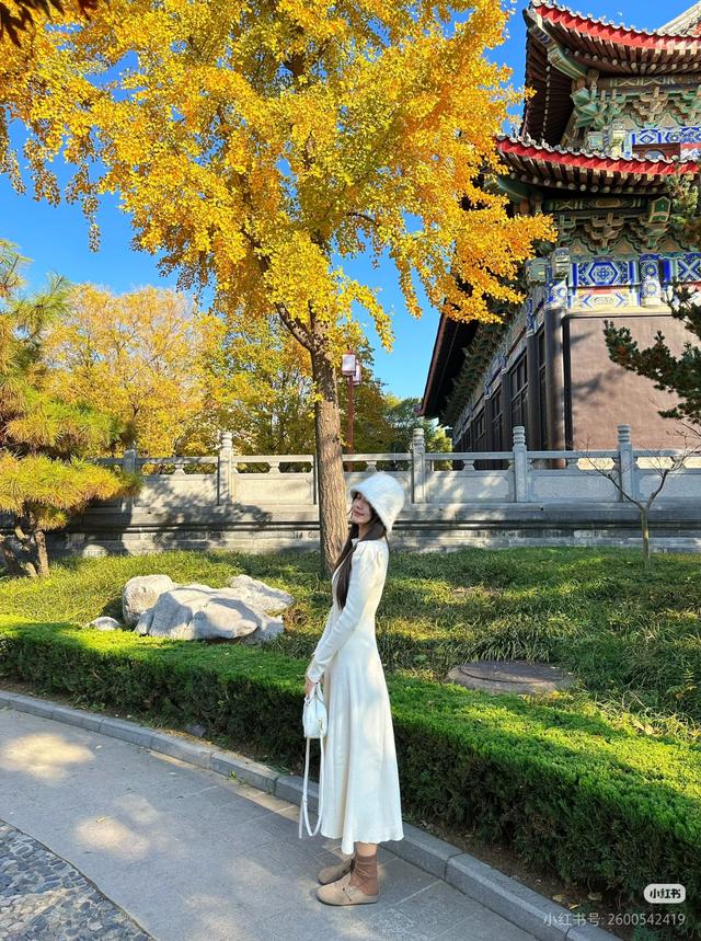 48小时极限观「临」，如何把周末玩出超高性价比？