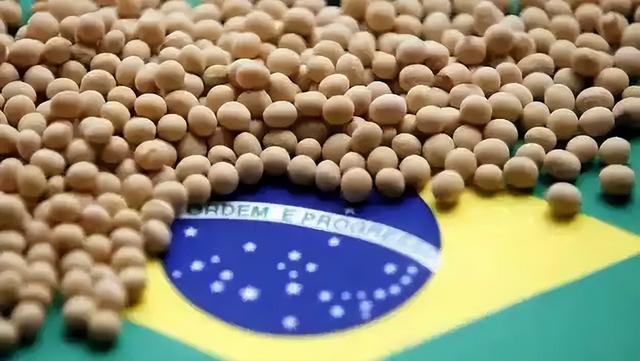 200万吨大豆烂港！巴西赌中国离不开它，却忘了中国早握3张王牌