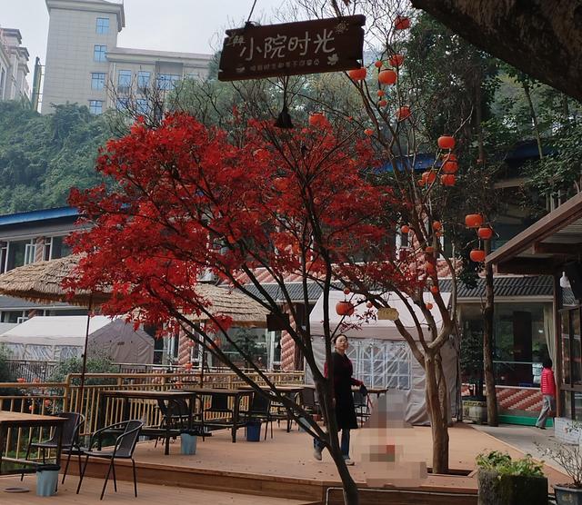 盘溪河的冬，藏着山城最温柔的秋意