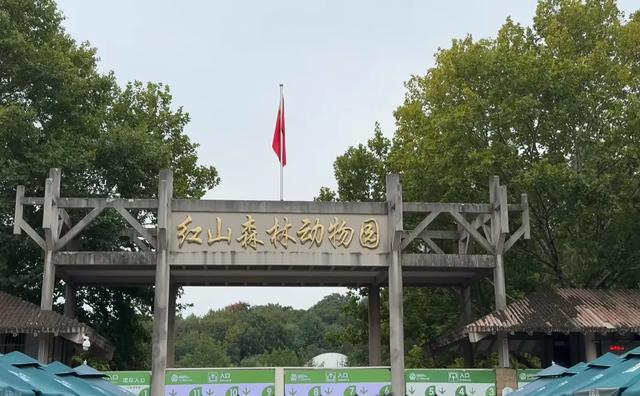 上海人国庆勇闯南京，3天暴走实录！