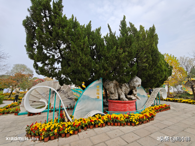 15分钟617人登顶龙亭大殿，传统观光景区迈向沉浸夜游的关键一步