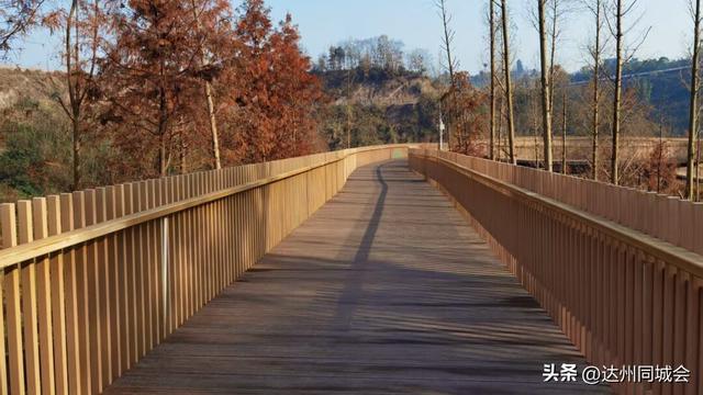周末带娃去哪儿？通川这个地方带你邂逅自然诗意