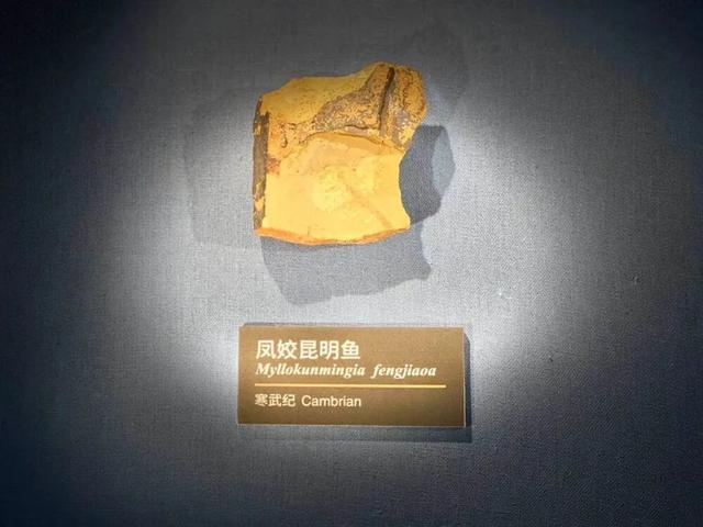 昆明：走遍天下的金字招牌