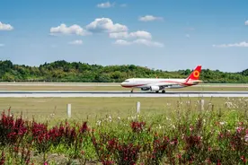 在成都，哪个地方看飞机拍飞机是天花板？图片