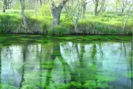 德国心灵音乐大师杰作，世界纯音乐名曲《向往》，令人无限遐想！图片