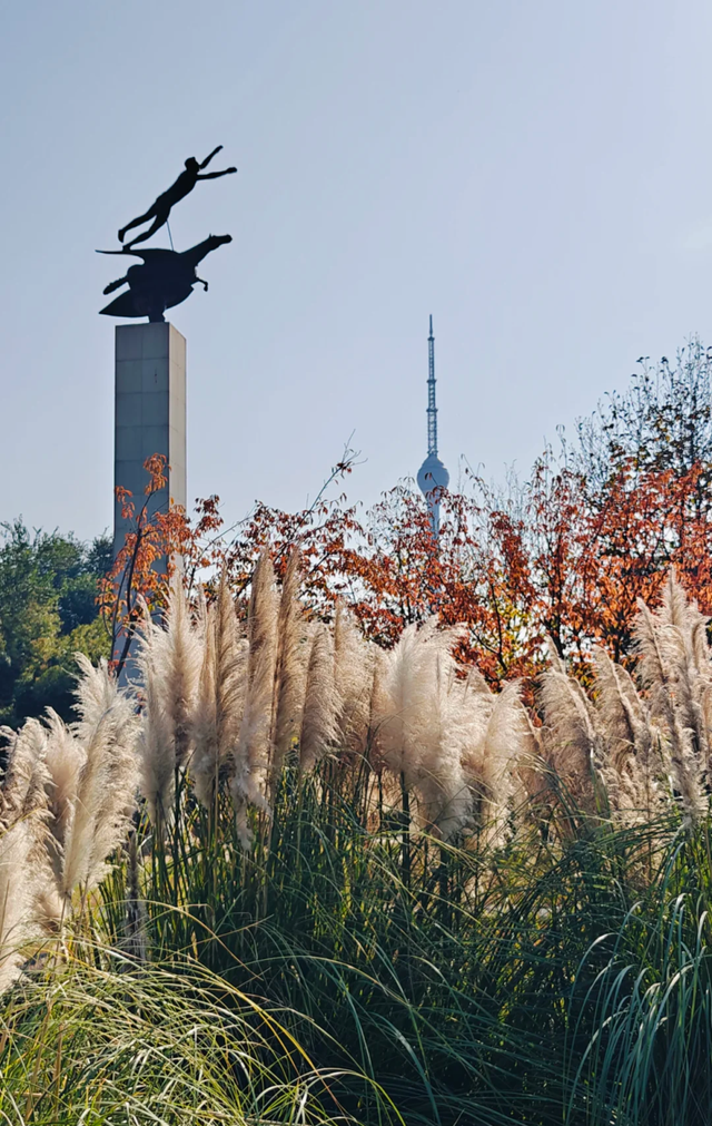 此刻的临沂，把清欢藏进风景里