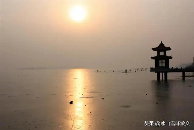 【随笔】与衡水湖对坐