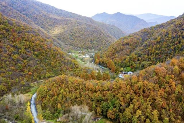 全国十佳！汉中这条公路太火了！