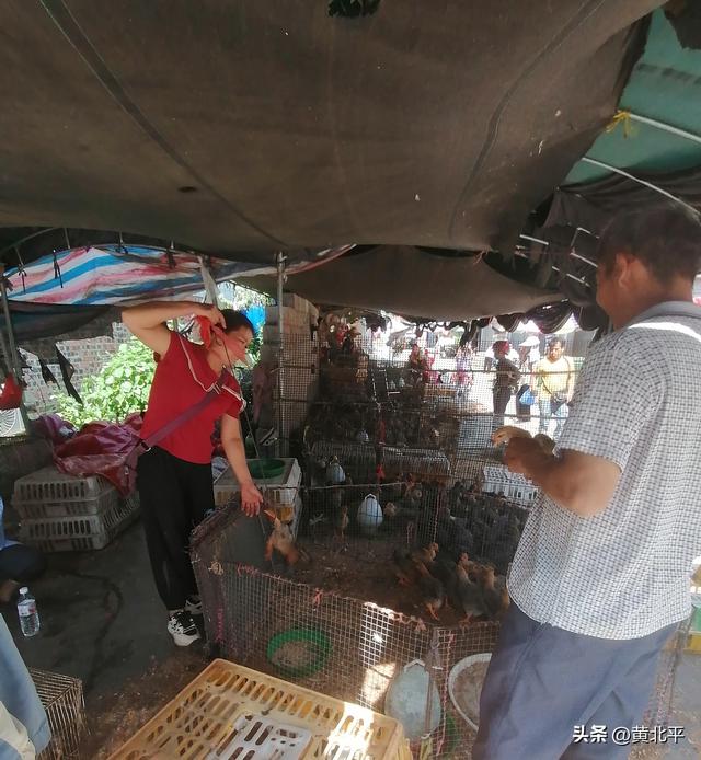 广西来宾市兴宾区千年老城，原本是县后降为镇，当年的繁华已消失