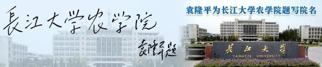 湖北省正式发布！长大3位教授成功入选，担任委员！