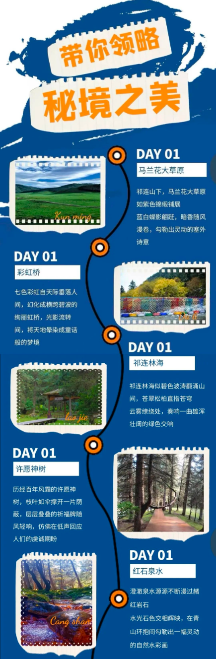 高山草甸、绿意盎然，武威有自己的“呼伦贝尔”大草原！
