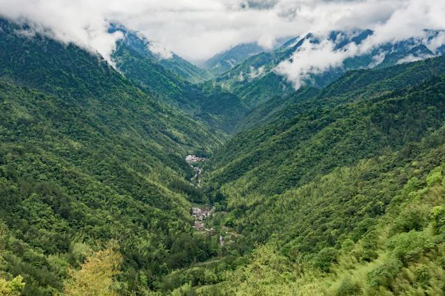 树“隧道”、海上潮玩、峡谷氧吧、飞瀑流泉……解锁山海清凉之旅→