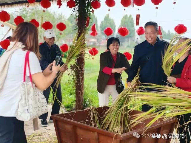 重阳节专属福利 | 陪爸妈游新洲，这些景区门票全免！赏菊、看戏、采摘…赶紧安排！