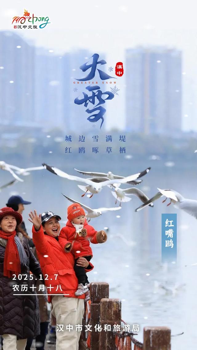 大雪 | 汉中雪盛时,鸥鸣雪舞共欢腾