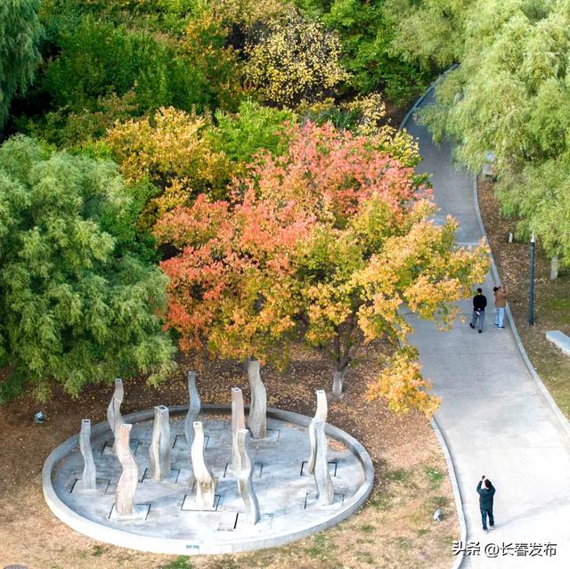 秋游漫步长春成为新风尚