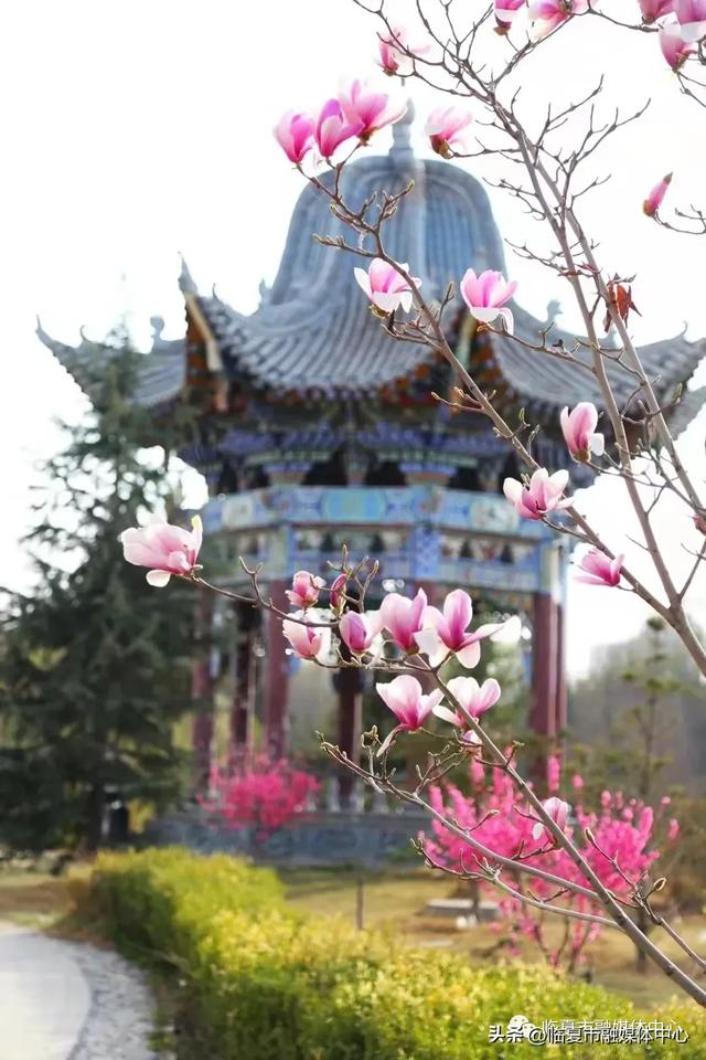 春到河州万物苏 生态花都入画来