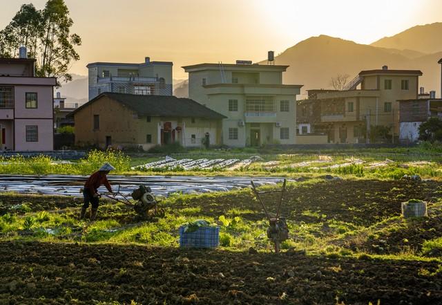 “立春除夕前，春打六九头”，2026年立春不一般，有何预兆？