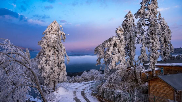 【雪景预告】看雪不必出远门！雅安的冬天超超超美！