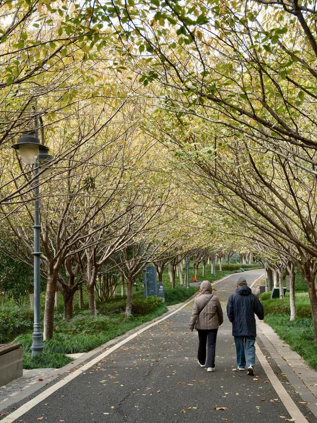 周末N次方 | 打开这份江汉赏秋图鉴→