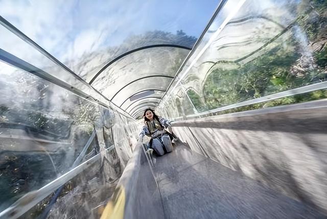 无需自驾轻松赏秋！看看这份公交攻略，解锁大明山红叶盛宴