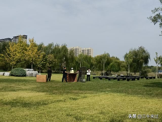 无为在歧路，国庆游淄博1