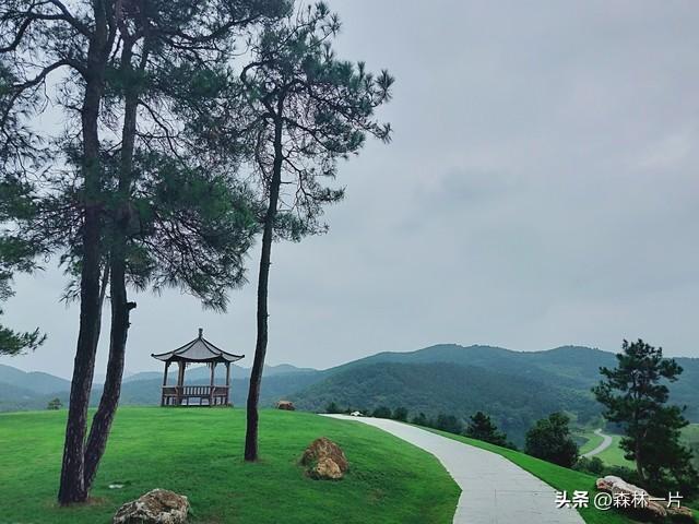 两性关系：女人多大岁数就不想男人了，过来人告诉你实情