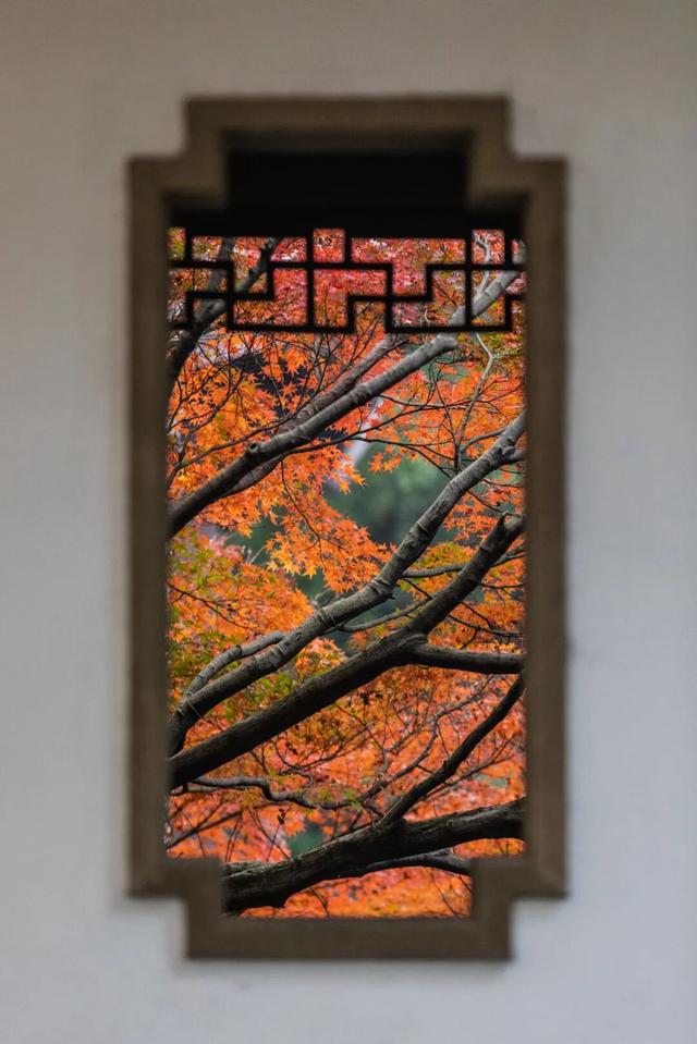 11月旅行地推荐！这13个赏秋地无对手，还藏着国内四大绝美秋色