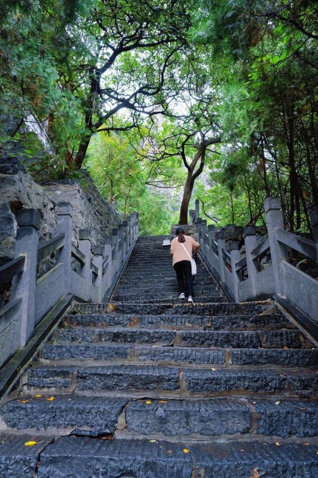 老师快来！神农山免索道，重点是景色太绝
