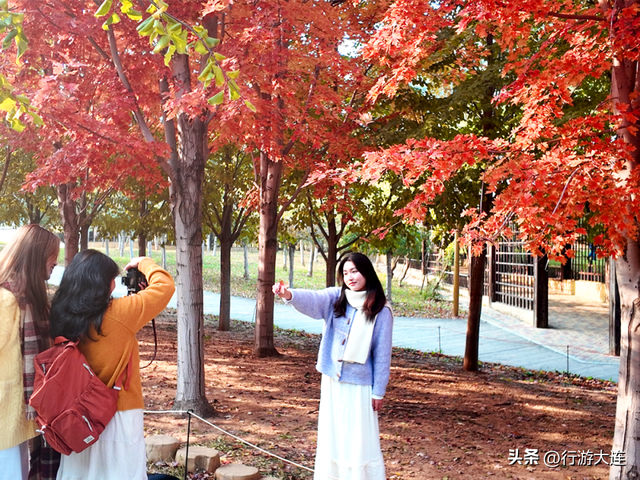 秋色有多惊喜？来白云雁水走一走~