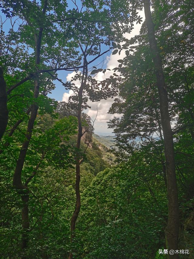 携宠旅游第二天