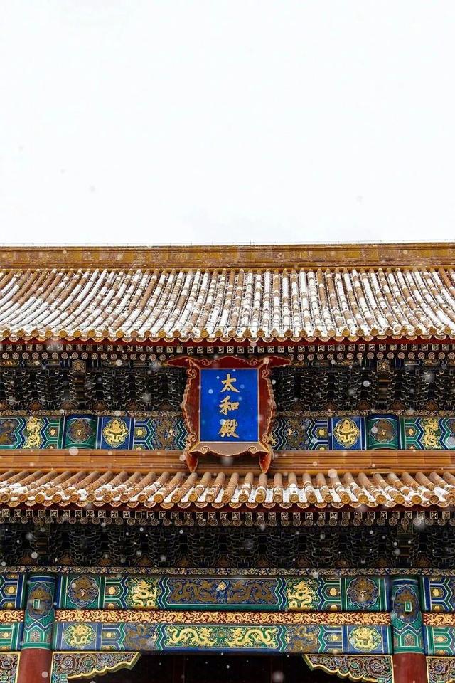 雪落紫禁城：千年宫墙藏尽岁末温柔