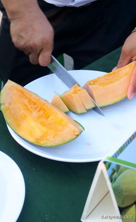 元旦来中牟：20元解锁6大全新主题的快乐