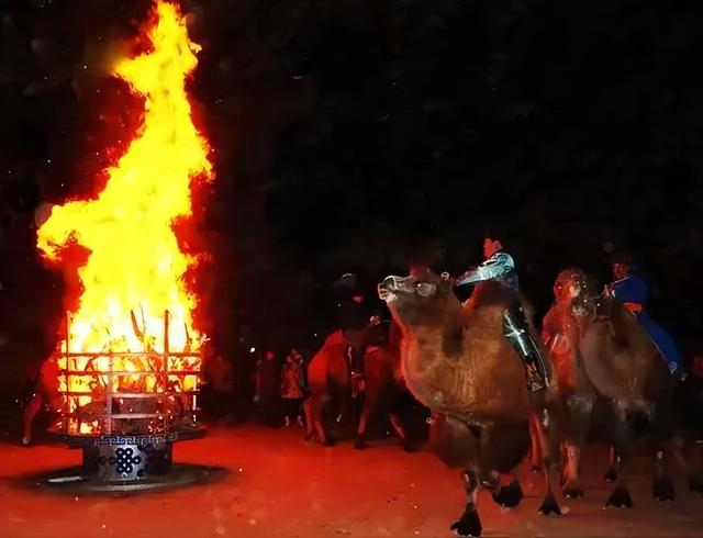 明日抵达！阿拉善驼队来绍兴了