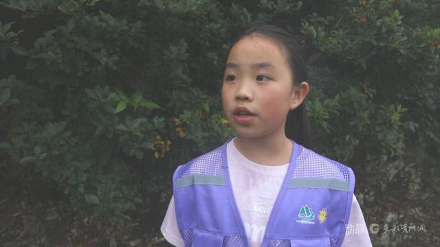 稻田抓鱼、识别植物、打糍粑……来贵州研学，超级好玩！