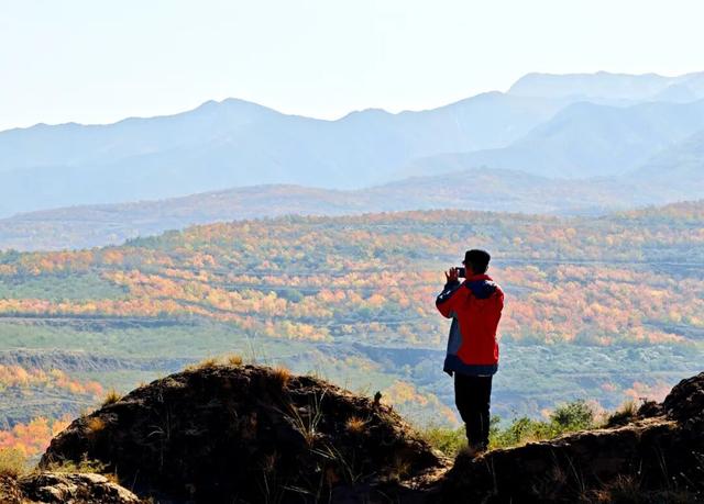 【白银文旅】冬已至秋渐远，再赏一波靖远的秋