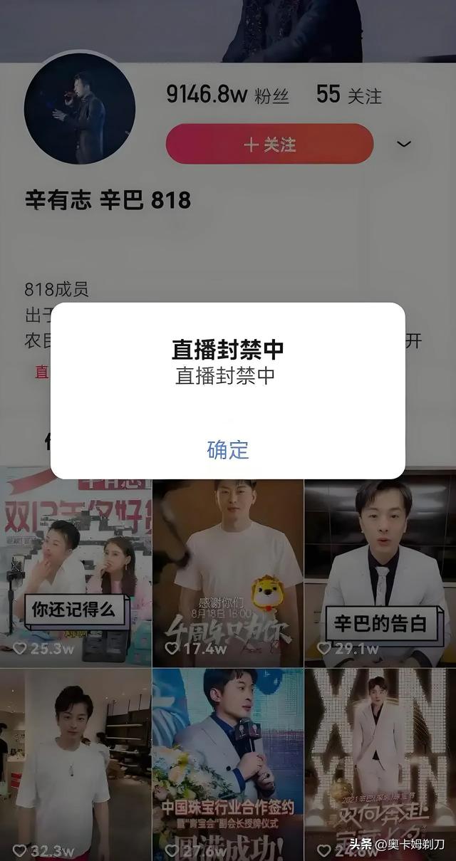 辛巴6年5次退网：“退网”不应成逃避责任的套路