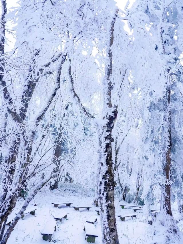 下雪了？！川西隐藏冰雪秘境上线！！！快来看雪→