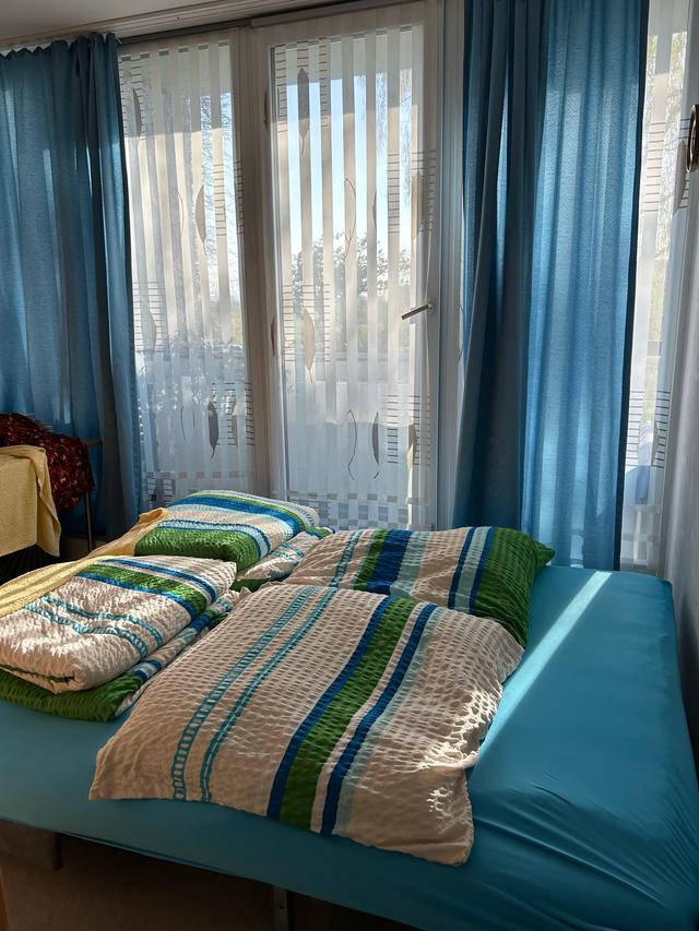 《 再见,德国 》