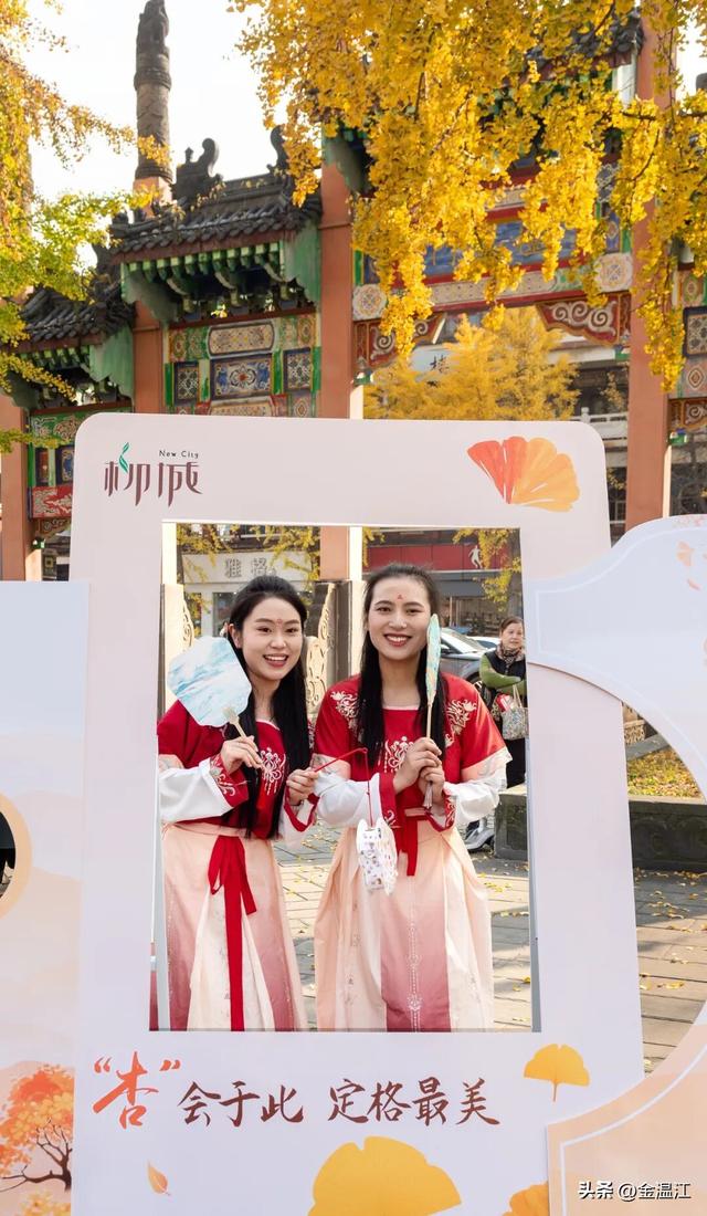 在“杏”福满满的大南街！这样拍超出片