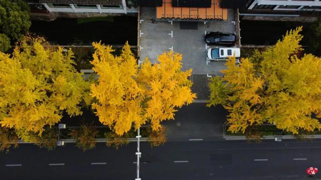 抓住秋天的尾巴!出发苏州这5个赏秋圣