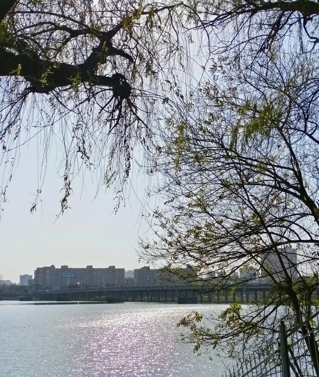 【花开卧龙，心动五一】暖心收官｜短暂的离别，是为了银杏树下更好的重逢