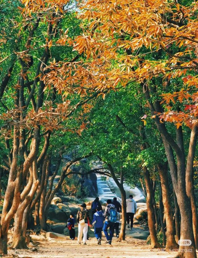 从1公里到33公里，苏州15座山全强度登山攻略！