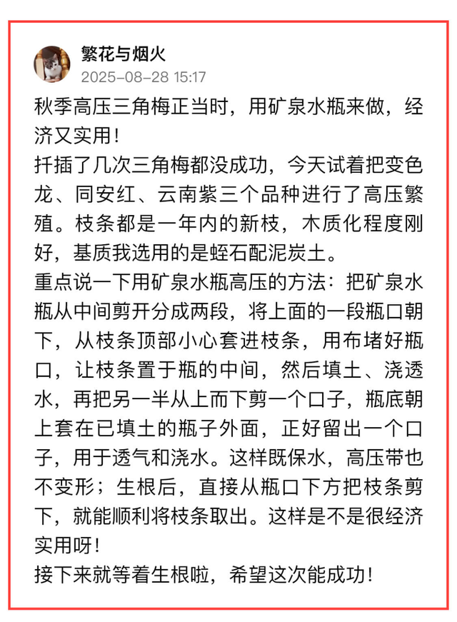 敢不敢来参加头条园艺pk赛