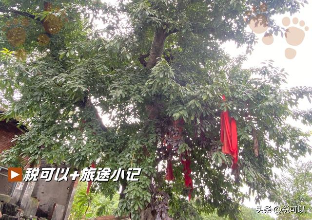 射洪古佛寺：一座中西合璧的老建筑，几段让人称奇的历史传说